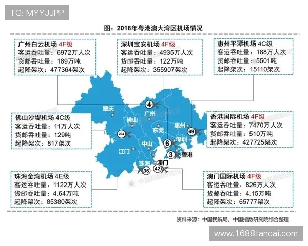 深圳排球队实力对比深度解析与未来发展趋势探讨
