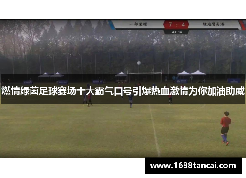 燃情绿茵足球赛场十大霸气口号引爆热血激情为你加油助威