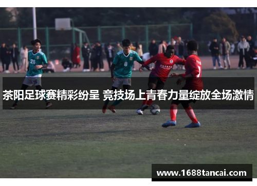 茶阳足球赛精彩纷呈 竞技场上青春力量绽放全场激情